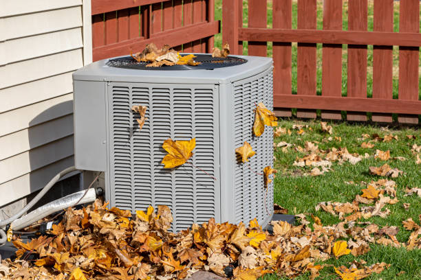 Best Ductless Mini-Split Systems in Diamond Ridge, AK