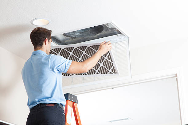 Best Air Filters and Purifiers in Diamond Ridge, AK